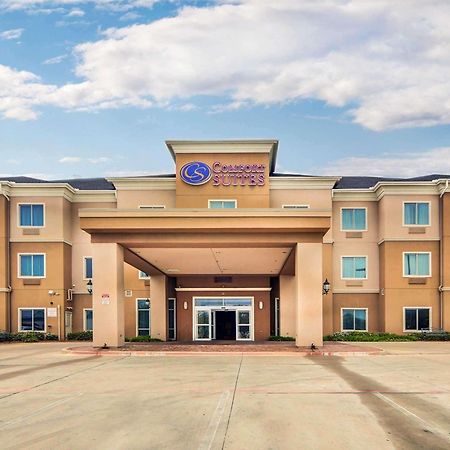 Comfort Suites Fort Worth South Exteriör bild
